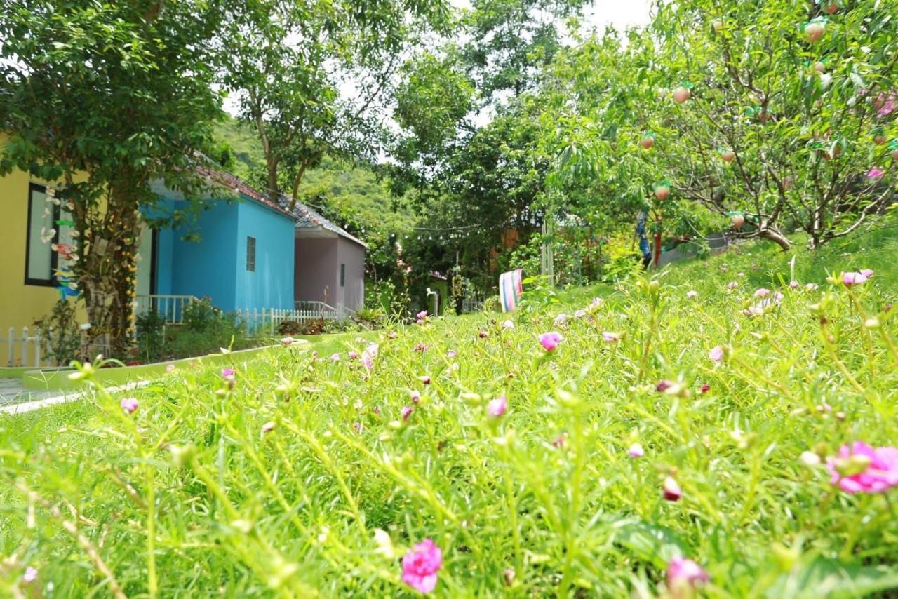 Windy Hill Catba Homestay 하이퐁 외부 사진